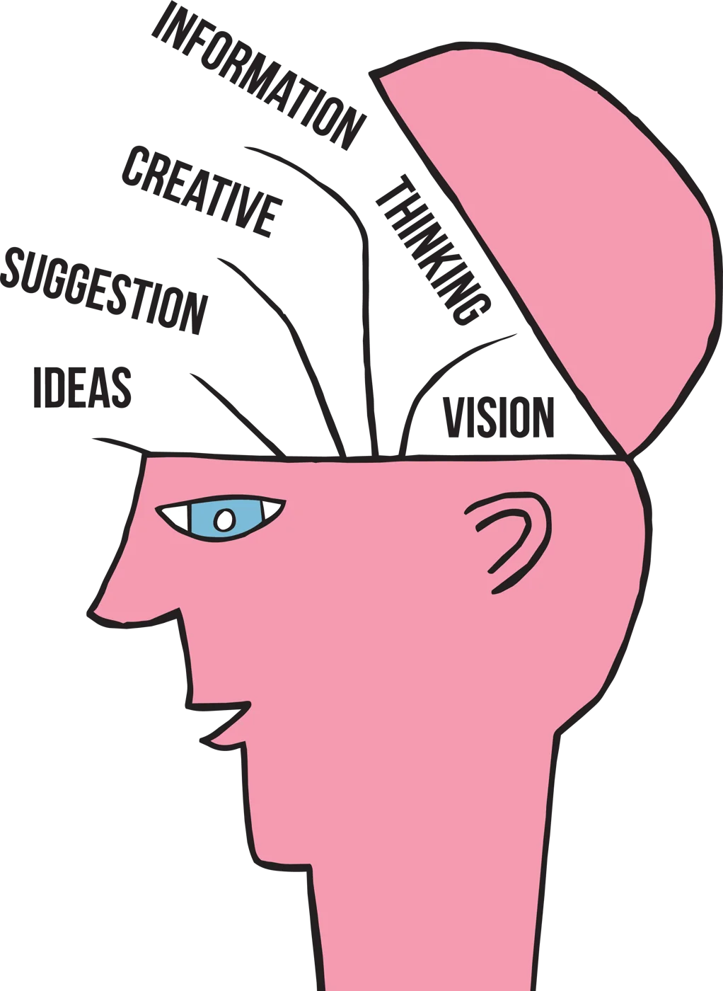 A profile of a head with the top open, labeled information, creative thinking, suggestion, ideas and vision.